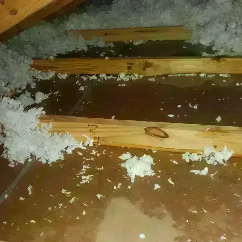 Attic Water Damage in Ridgewood, NJ